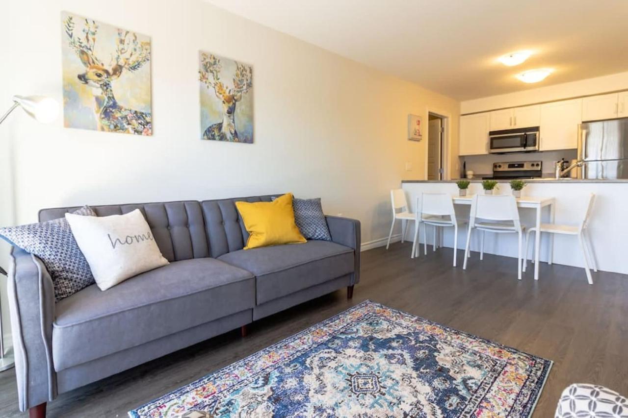 Newly Renovated Modern Condo Near Hospital, UNB Patio & Parking Coffee Saint John Esterno foto