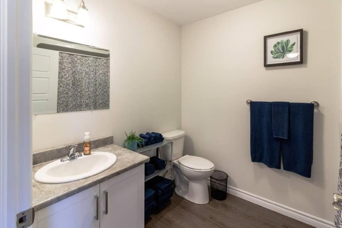 Newly Renovated Modern Condo Near Hospital, UNB Patio & Parking Coffee Saint John Esterno foto